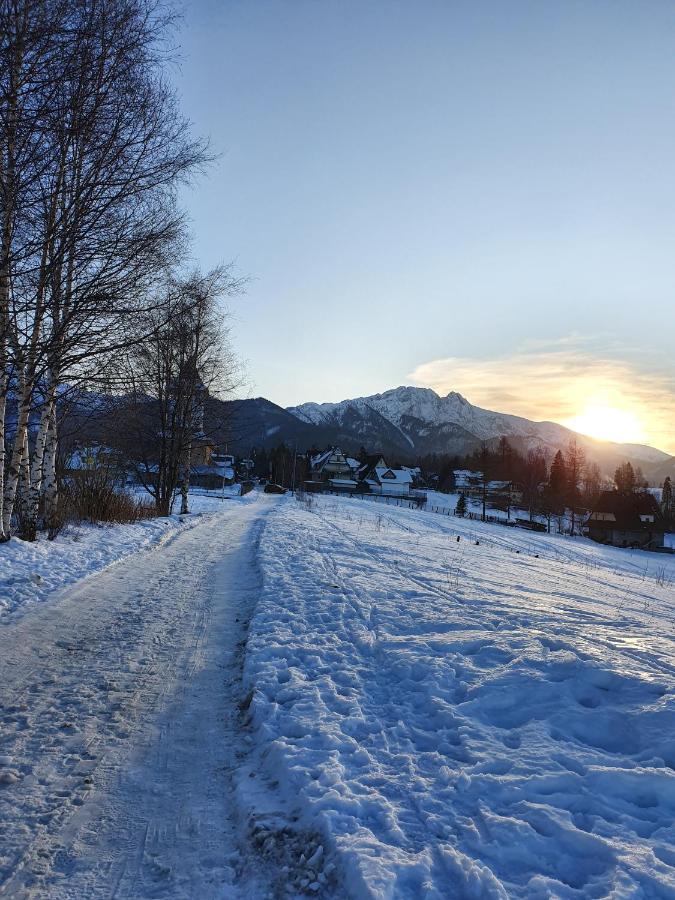 Podhalanskie Zacisze Zakopane Exteriér fotografie